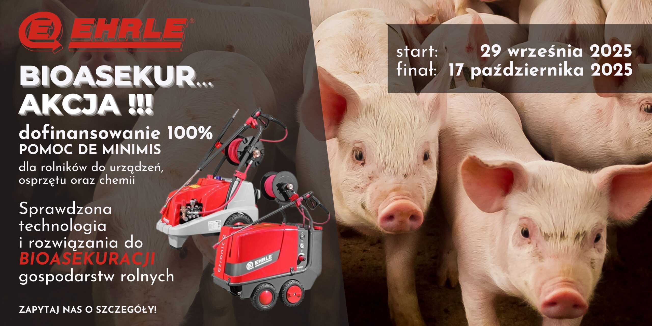 Rusza nabór wniosków dla hodowców świń 2025 – refundacja DE MINIMIS 100% wydatków na bioasekurację